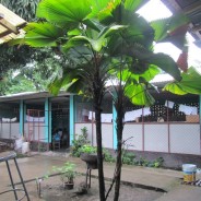 1er Proyecto Donación Materila Escolar Colegio J. Pablo II, Muy Muy, Nicaragua.