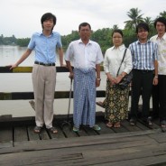 Trabajo voluntario vs. trabajo remunerado