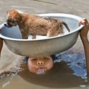 Inundaciones en Birmania. Nosotros reconstruiremos escuelas.