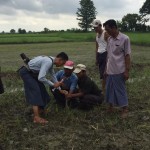 14045787_10210415073196109_2865652171946033199_n (1) 14045787_10210415073196109_2865652171946033199_n (1)