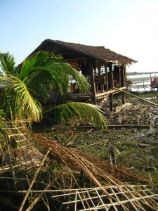 75325_1723846938957_1321872272_31845621_251726_n[1]